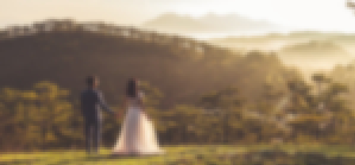 Photo d'un couple amoureux pris lors de la célébration de leur mariage