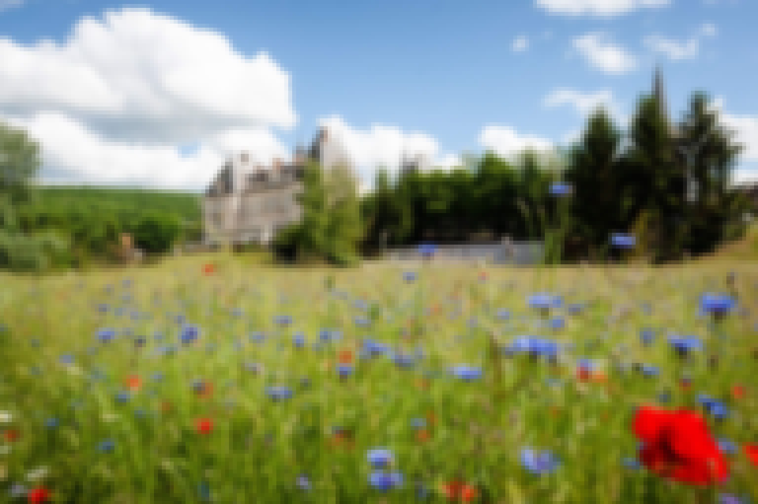 Photo de la façade du château Sainte-Sabine en Bourgogne