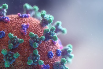 Représentation microscopique du virus Covid 19