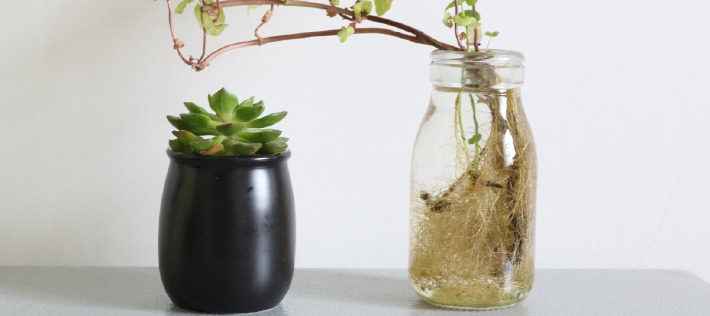 Photo de la décoration d'une table de mariage sur le thème de l'écologie et de l'environnement